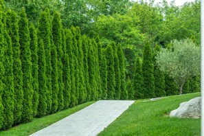 Villa | 3 bedrooms - Villa Casa Brazzana Zadarvillas (Buzet)