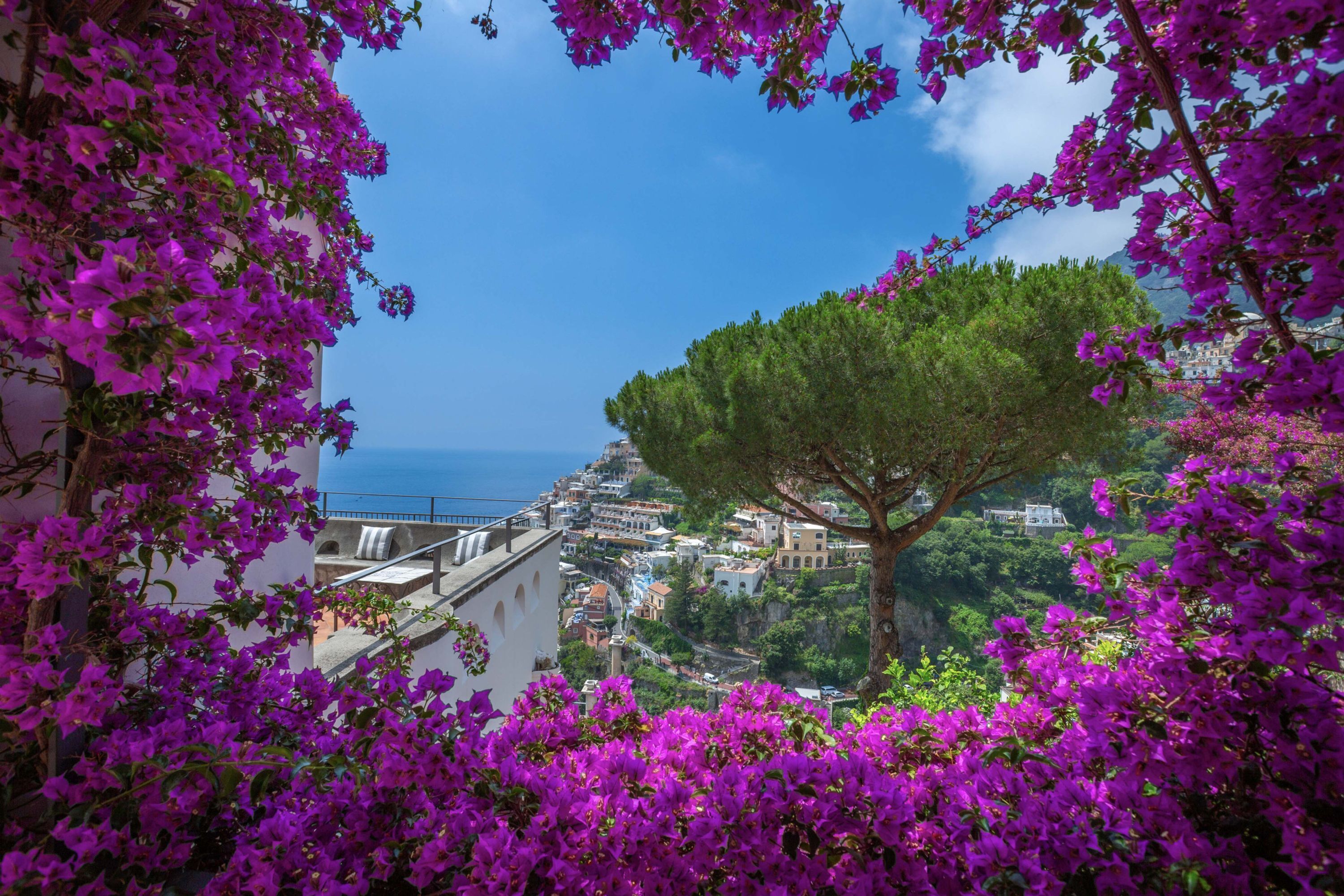 A coastal town with a prominent tree and purple flowers in the foreground, overlooking a hillside with buildings.