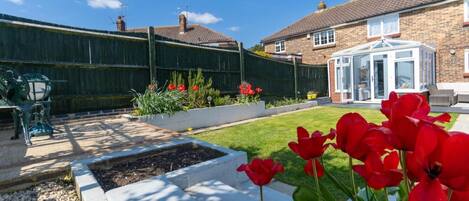 A garden with red tulips, a wooden fence, and a conservatory.