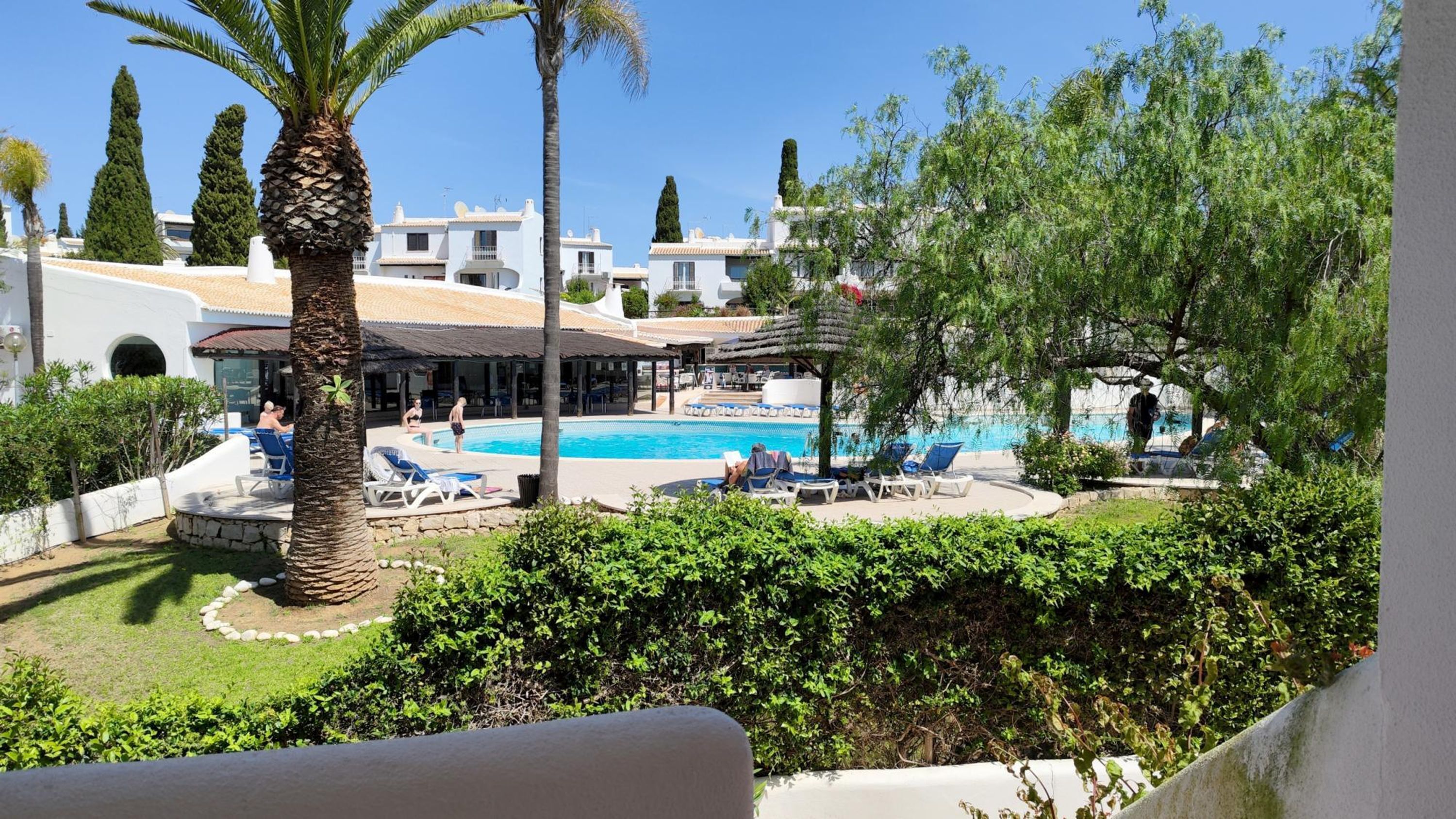 Un espace piscine agrémenté de chaises longues, de palmiers et d’un ciel d’un bleu éclatant.
