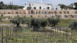 A white villa with multiple rooms, surrounded by stone walls and a vineyard. - TD Tenuta Donna Madia Sea View Pool Over Vineyard (Monopoli)