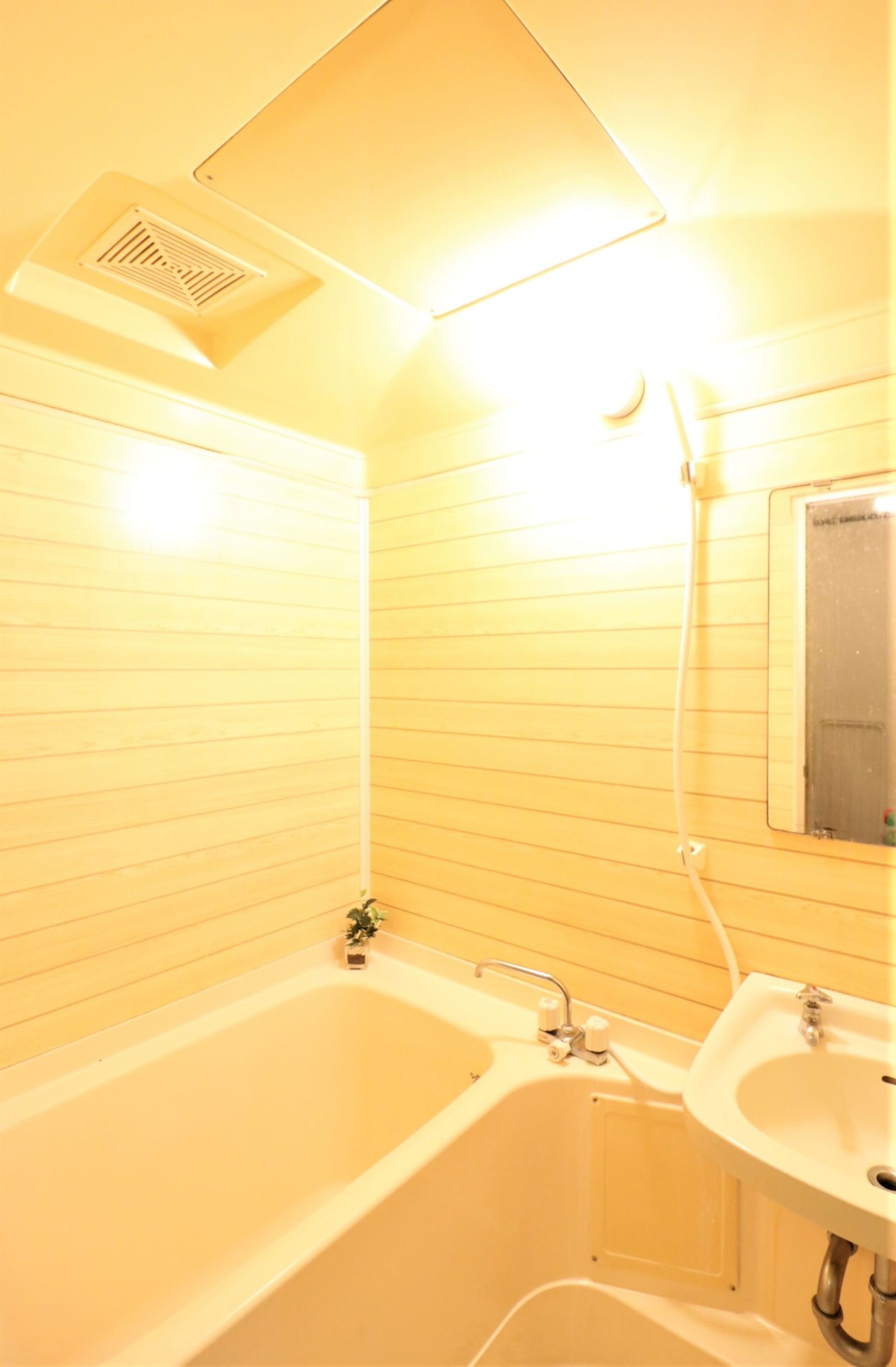 Basic Apartment | Bathroom | Rainfall showerhead, hair dryer, soap, shampoo