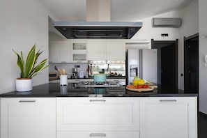 Fridge, oven, dishwasher, cookware/dishes/utensils