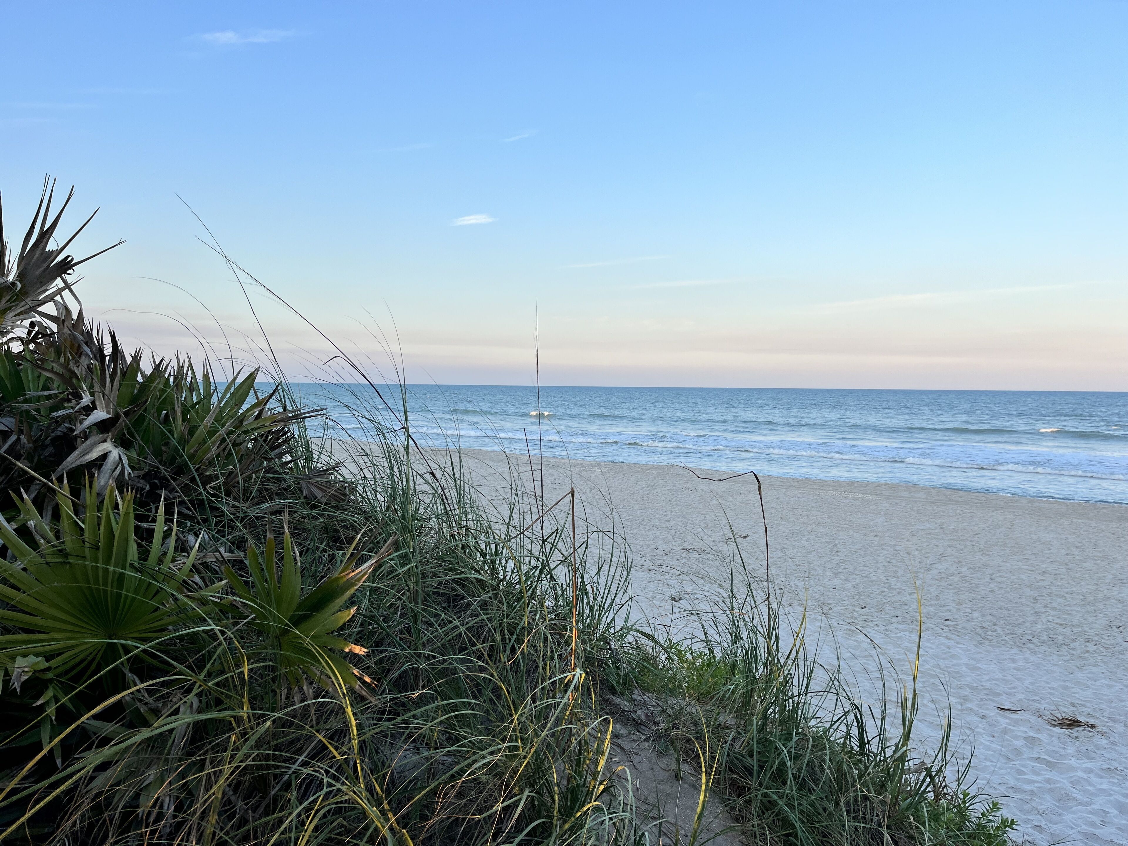 Sun-loungers, beach towels