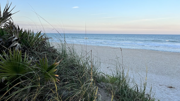 A beach with sand and ocean, with some vegetation in the foreground. - Private Beach House Paradise (Melbourne Beach)