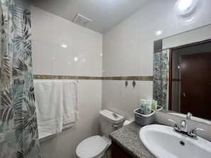 Shower, hair dryer, towels, soap