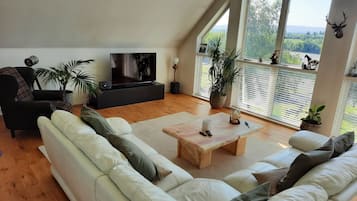 TV, fireplace, stereo