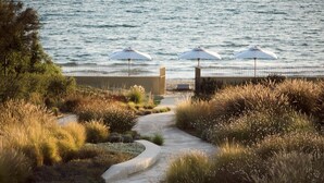 A coastal walkway with a concrete path, surrounded by various grasses and shrubs, leading to a beach with white umbrellas.