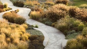 A winding concrete pathway through a landscaped garden with various grasses and shrubs.