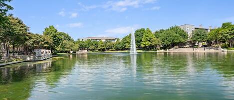 Un lago tranquilo con una fuente central, rodeado de árboles y edificios.