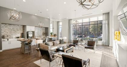 Arlington Deluxe 2BD 2BA Apartment