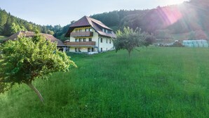 Een huis met twee verdiepingen met een schuin dak, omringd door een grasveld en bomen.