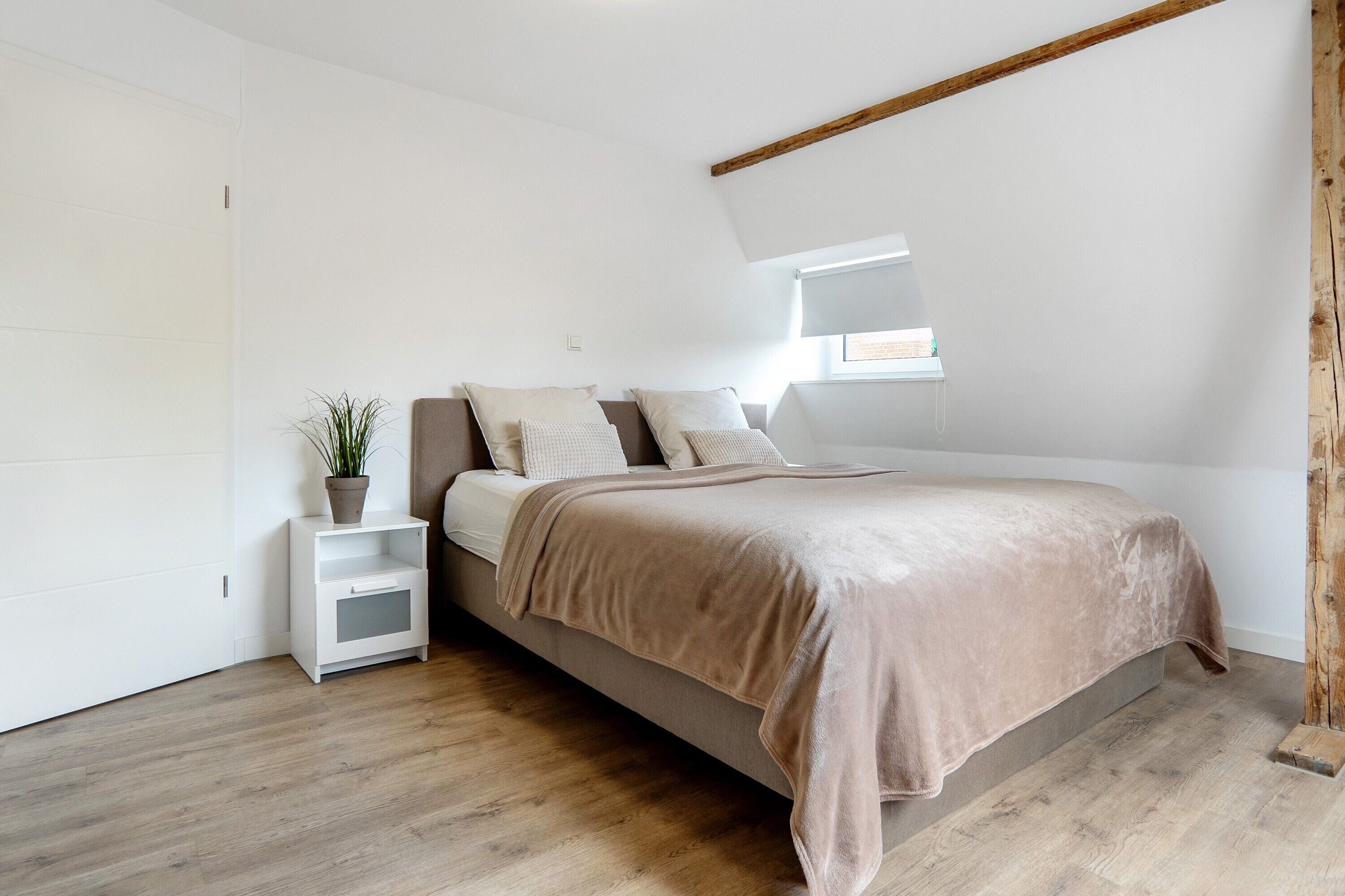 A bedroom with a bed, bedside table, and a potted plant.