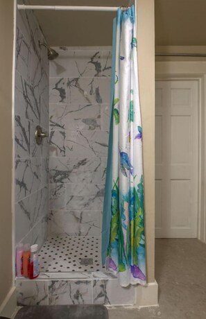 House - Gorgeous Guesthouse Near Amazing Downtown (San Antonio)