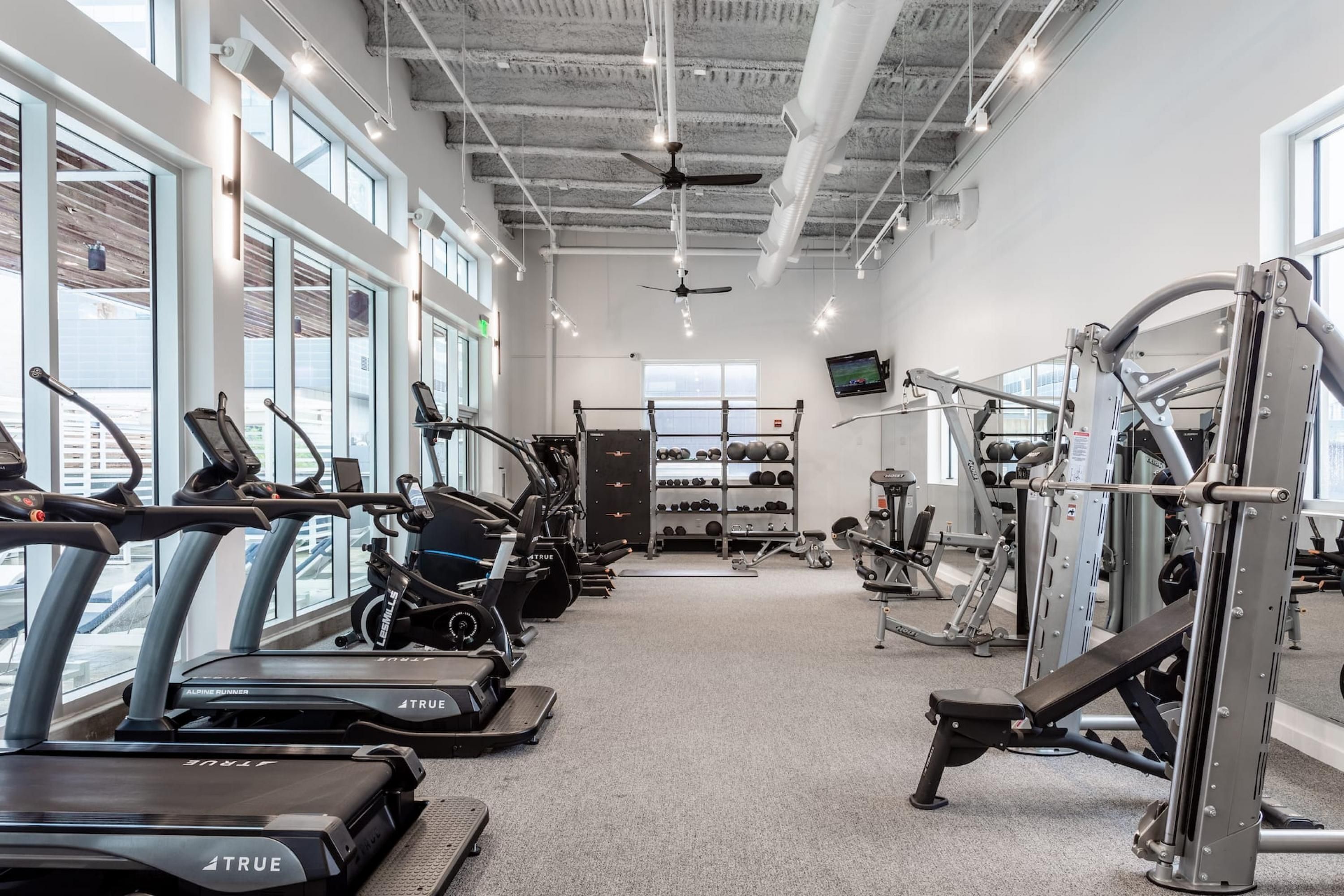 A gym with treadmills, weight machines, and a TV on the wall.