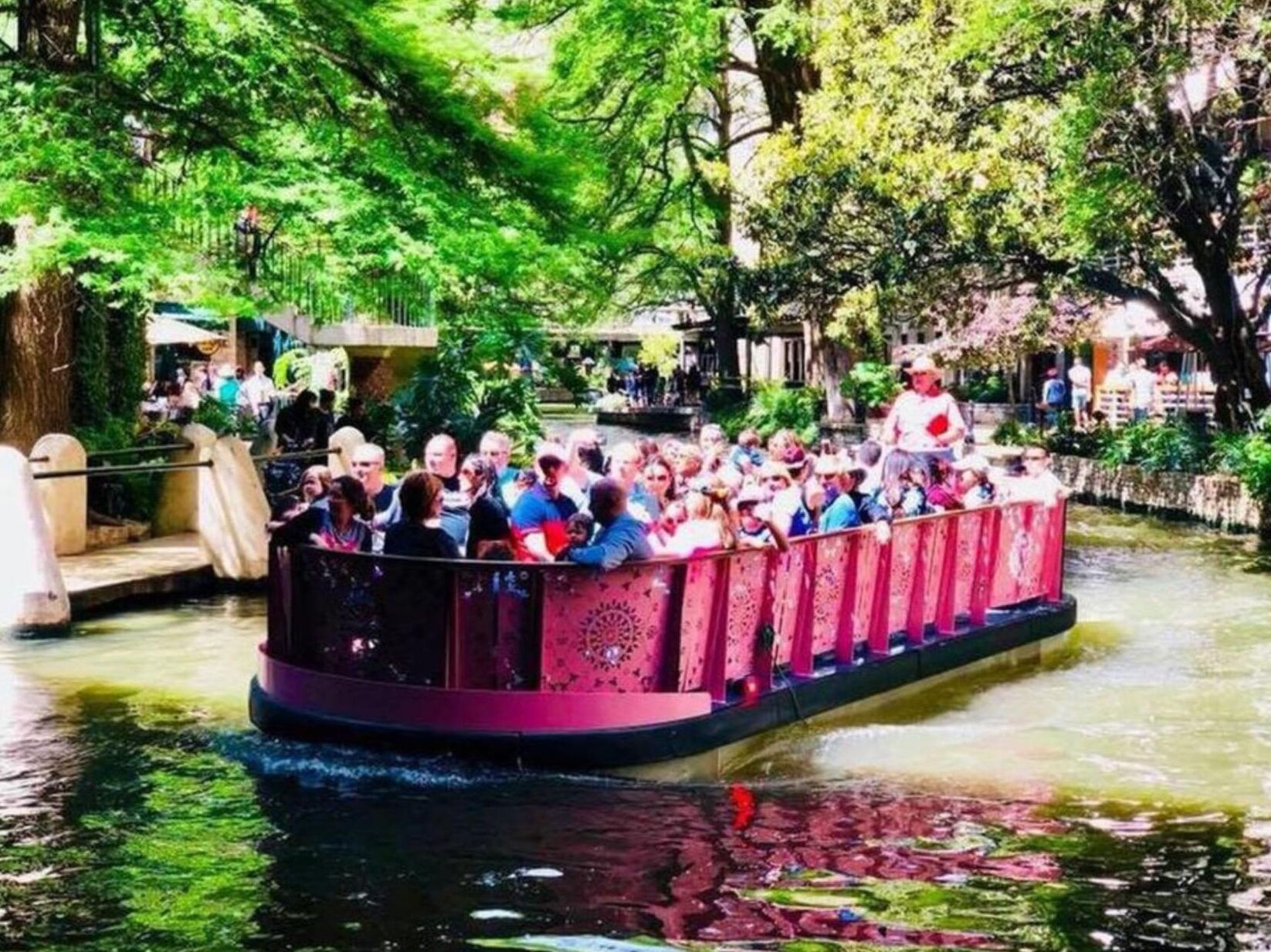 A boat tour with passengers, surrounded by lush greenery and a calm water body.