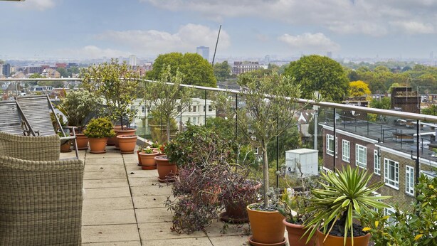 A balcony with potted plants, a wicker chair, and a city view. - Putney Rooftops (London)