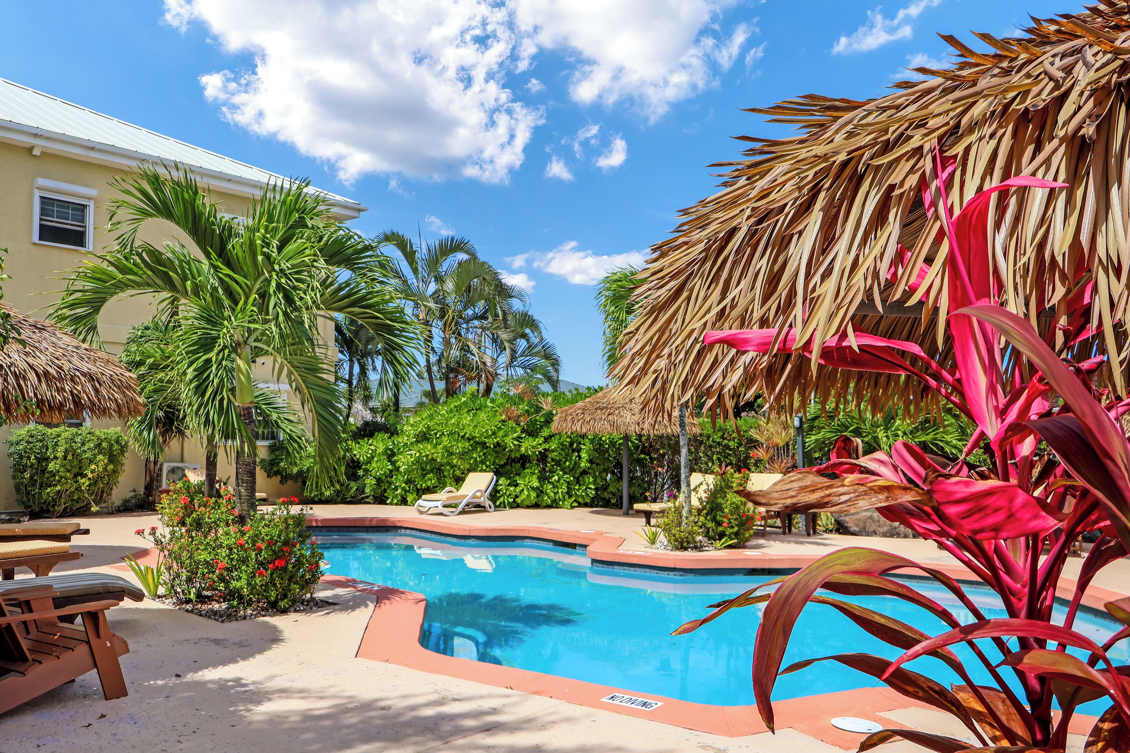 A swimming pool with lounge chairs and a thatched roof structure.