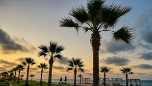 Eine Strandumgebung mit Palmen, einem Weg und Liegestühlen.