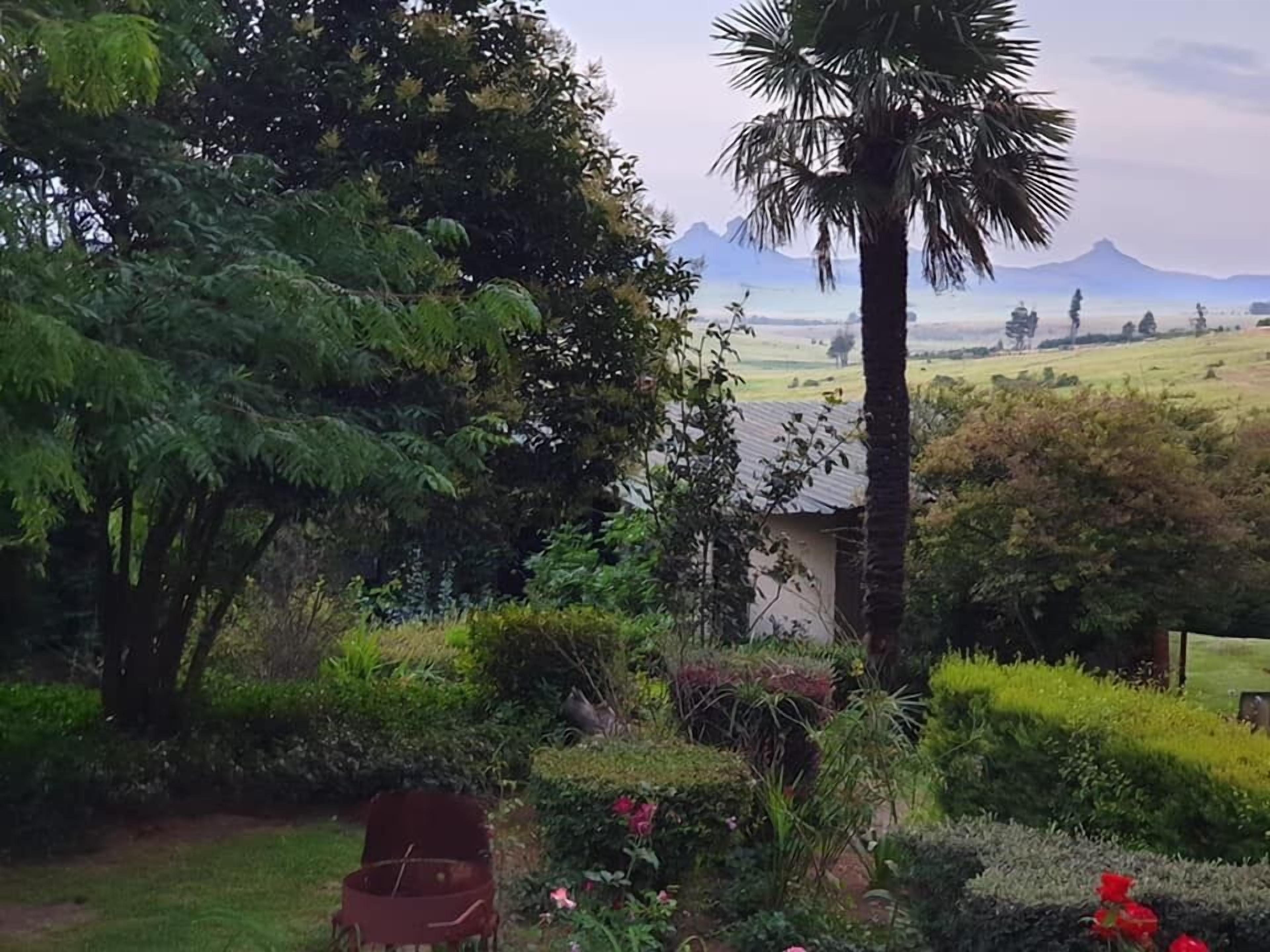 标准双人房或双床房 | 羽绒被、床单