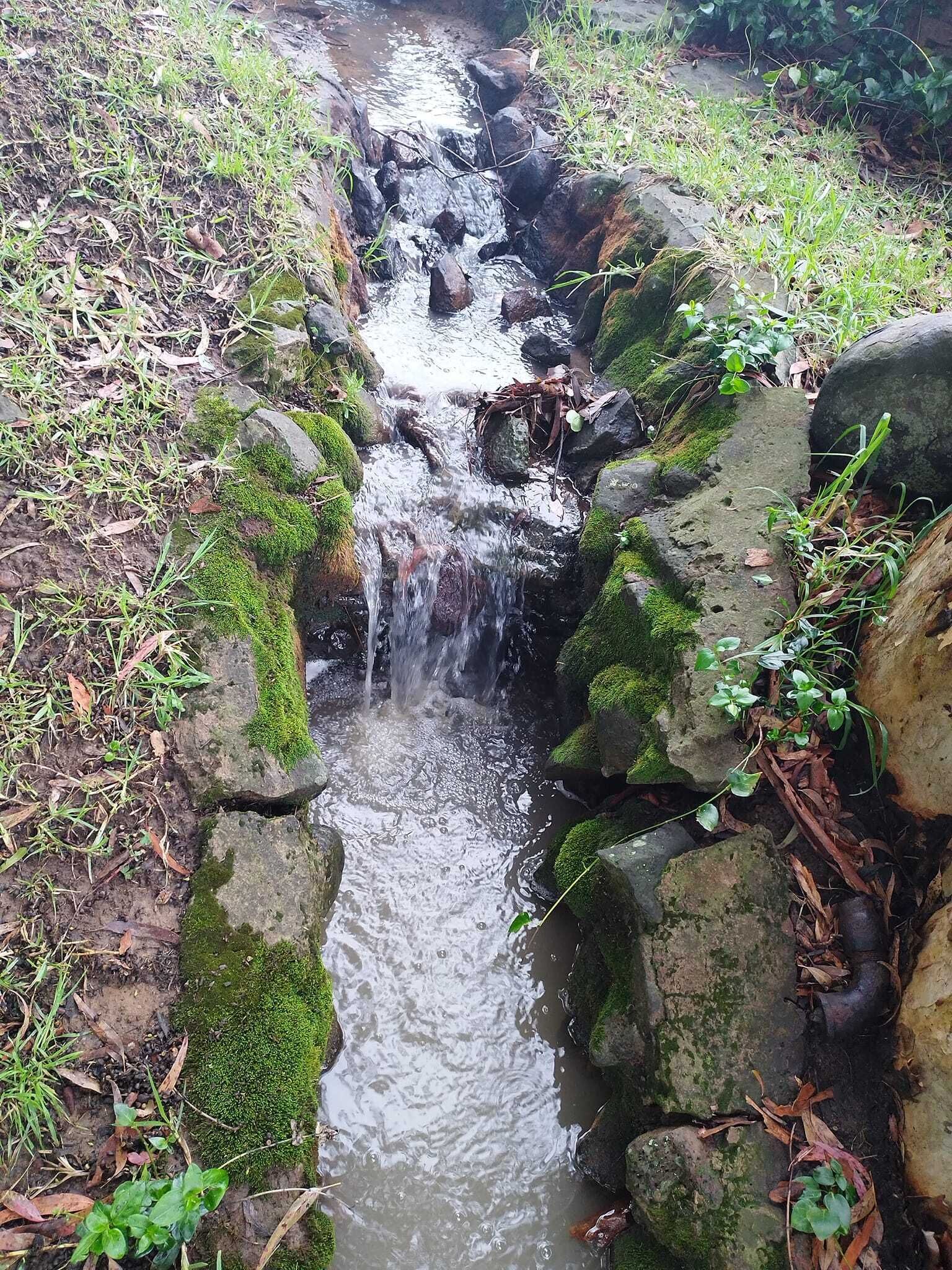 A small, natural stream flowing over rocks in a forested area.