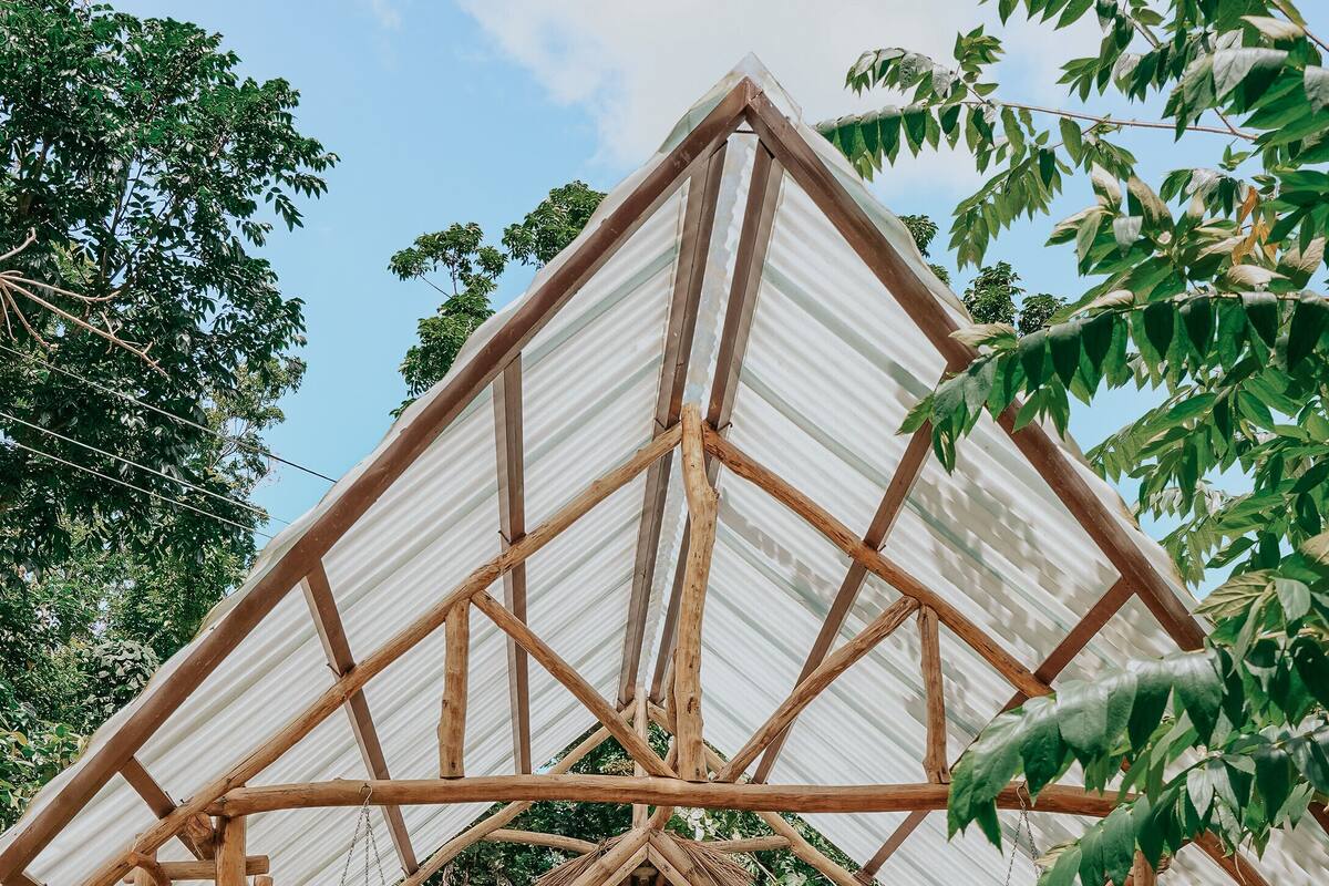 Een rustieke houten chalet met een golfplaten dak, omringd door weelderig groen.