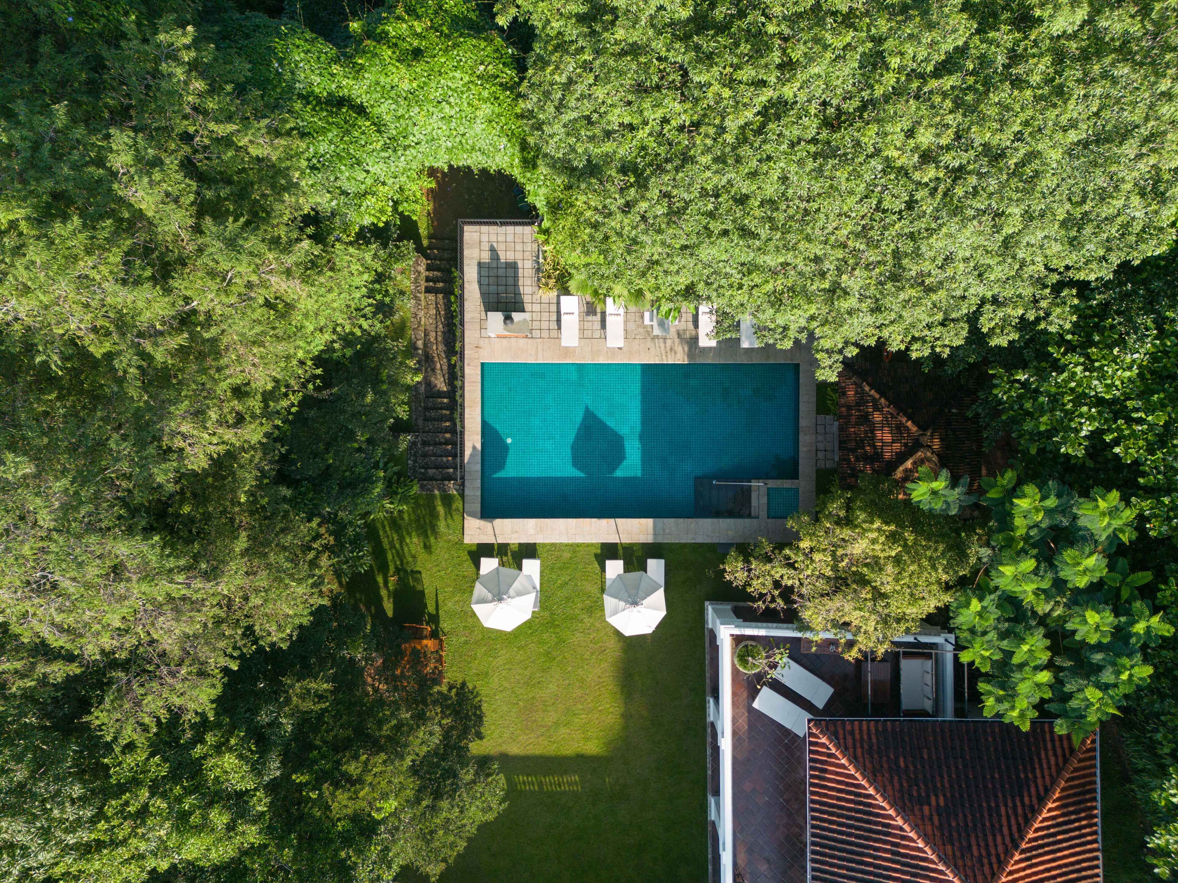 An aerial view of a rectangular swimming pool with a tiled deck, surrounded by lush greenery and a small patio area with white umbrellas.