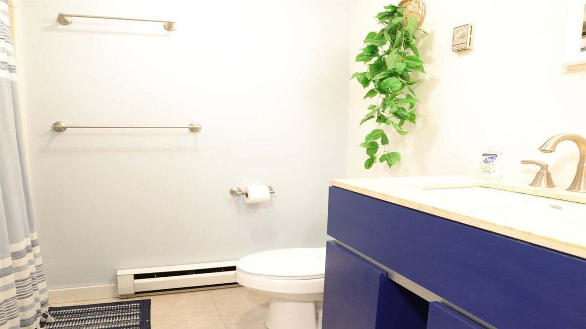 Un baño con inodoro blanco, tocador azul, toallero, una planta y zona de ducha.