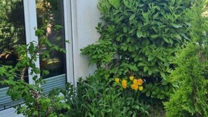 Utvendig detalj