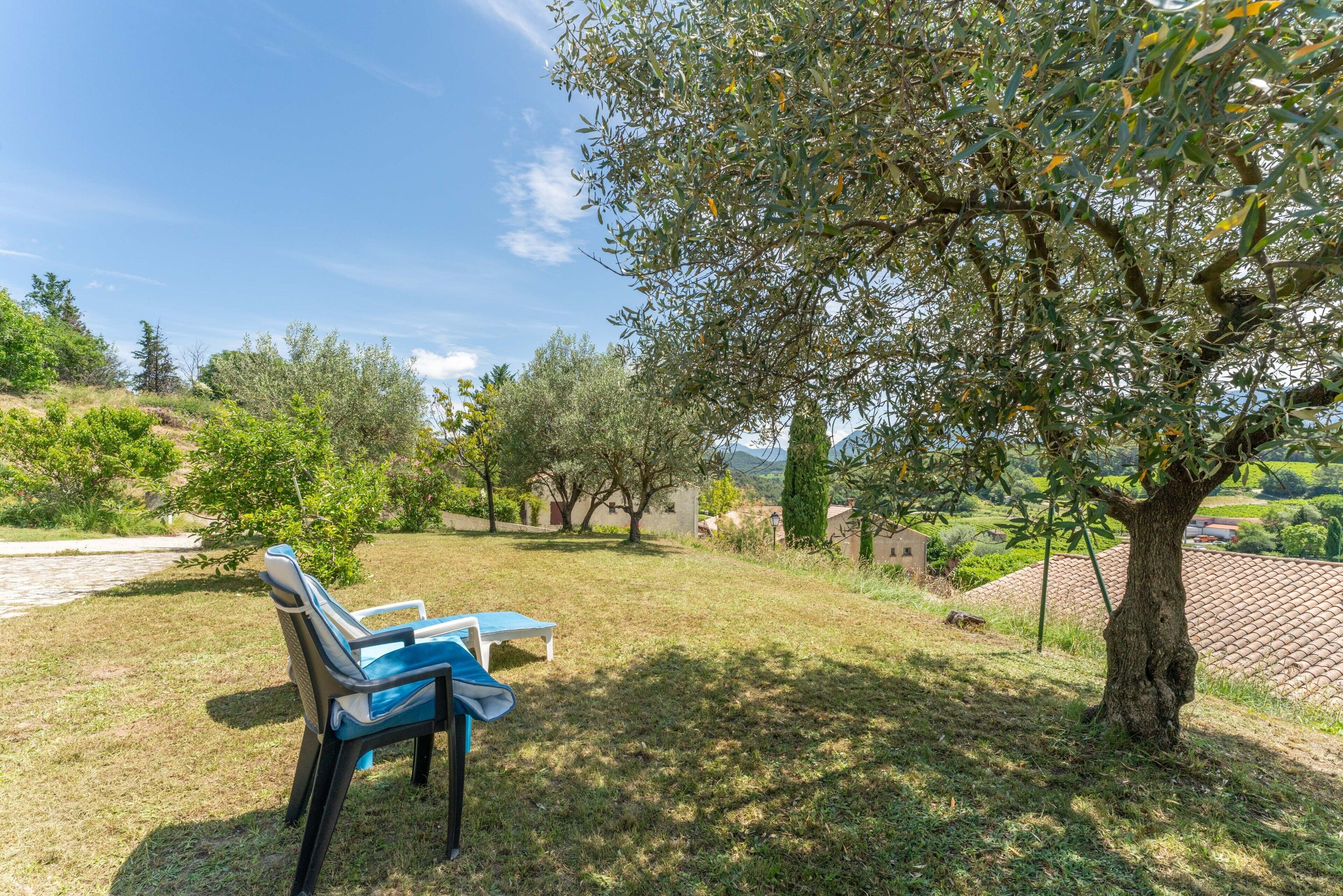 Ein Garten mit einer Bank und einem Baum.