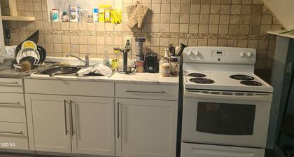 Cozy Bl1 Bedroom Basment In Newmarket All Amenities + Playstation 4 & Netflix