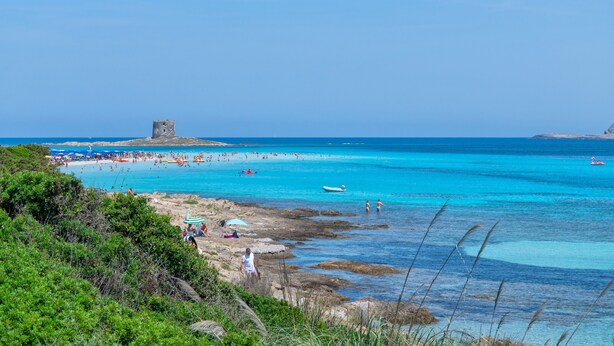 A coastal beach with clear turquoise waters, rocky shorelines, and a historical tower structure. - Holiday Home 'Stintino La Pelosa' with Private Terrace, Wi-Fi and Air Conditioning (Stintino)