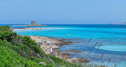Holiday Home 'Stintino La Pelosa' with Private Terrace, Wi-Fi and Air Conditioning