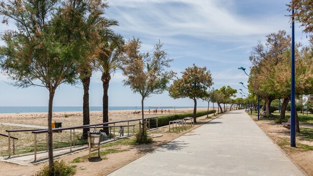 Un sendero empedrado con bancos, árboles y vistas a la playa.