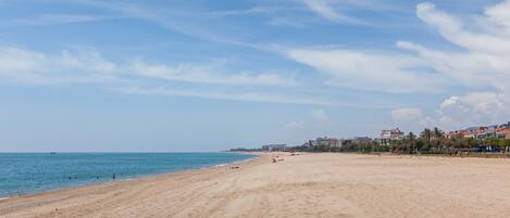 بالقرب من الشاطئ