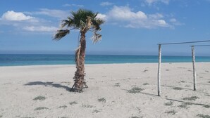 Una platja amb una palmera solitària i una xarxa de voleibol.