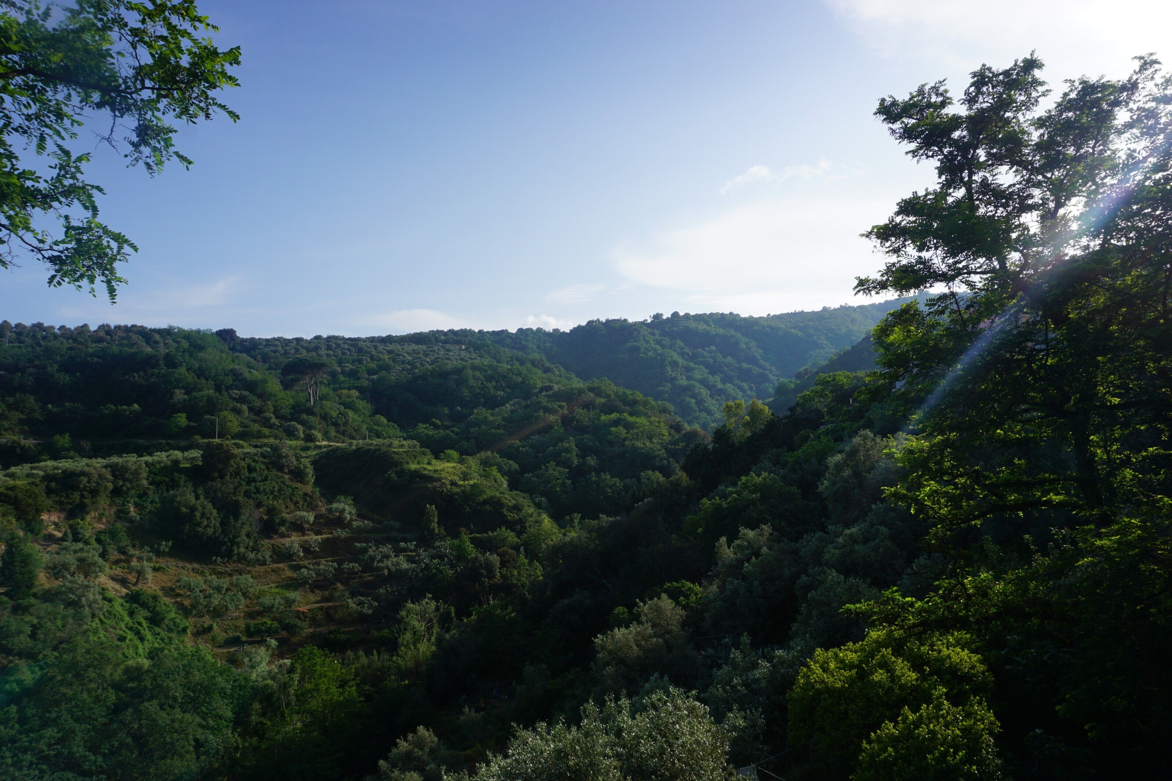 A mountainous landscape with dense greenery and a clear sky.