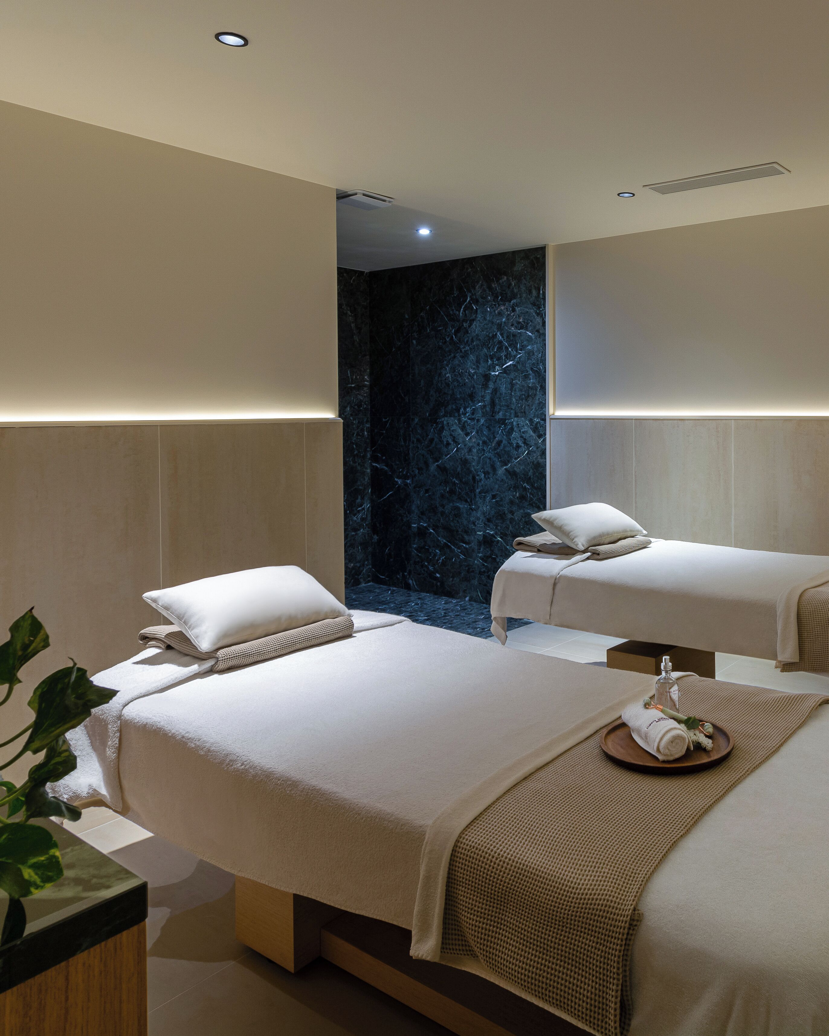 A hotel room with two beds, a dark marble wall, and a small plant.