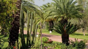 Un jardin agrémenté de palmiers, de cactus et de plantes à fleurs.