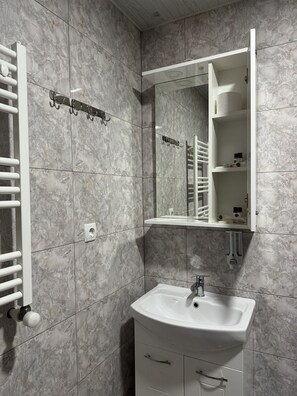 Standard Double Room, 1 King Bed | Bathroom | Shower, hydromassage showerhead, free toiletries, hair dryer