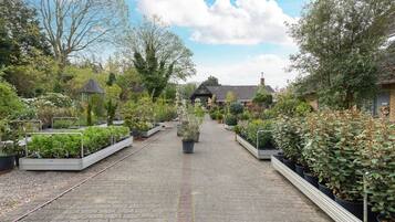 Terrein van de accommodatie