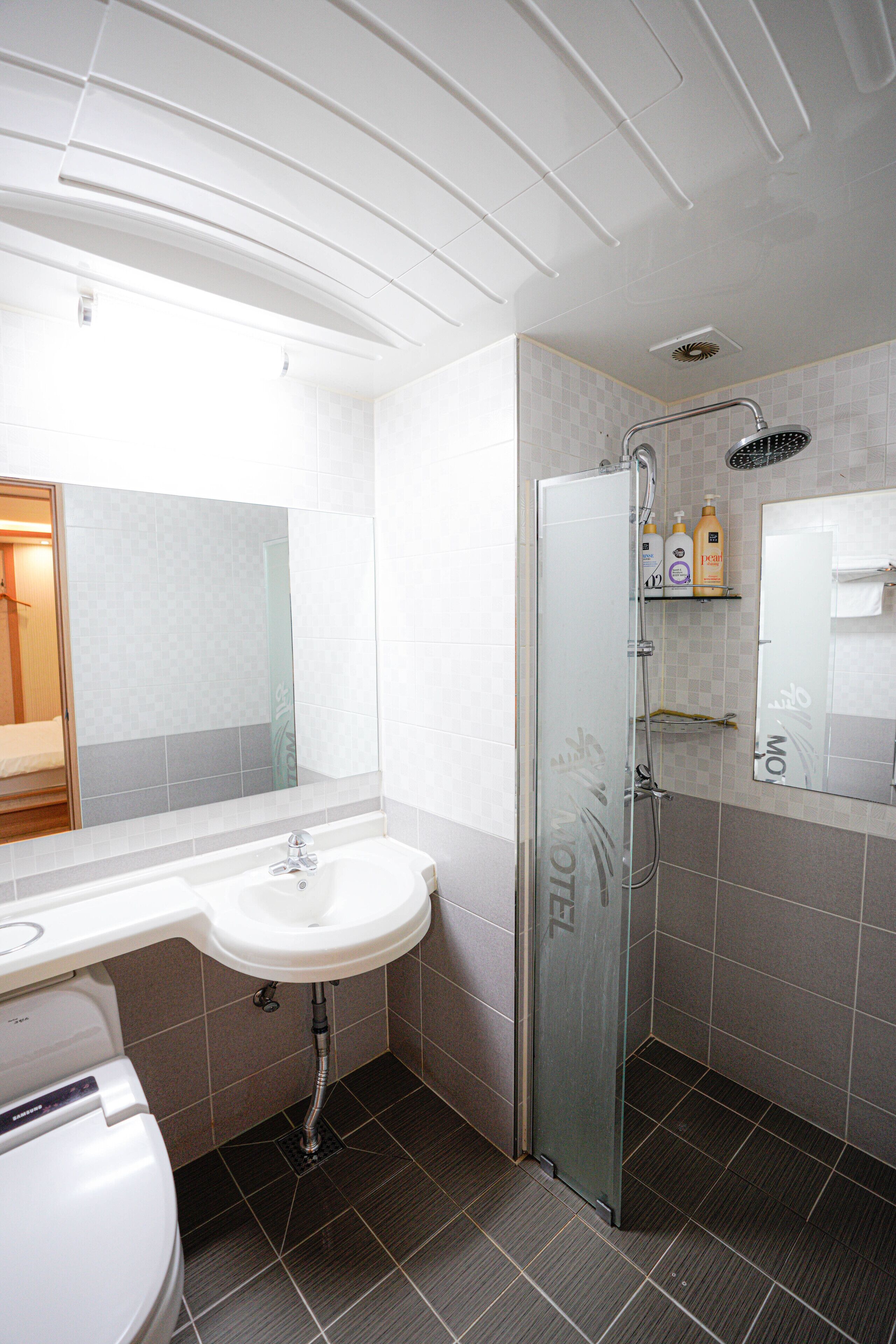 Un baño moderno con ducha de vidrio, un lavamanos blanco y un espejo encima.
