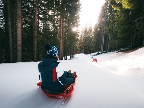 Snow and ski sports - Comfortable 1-Bedroom, Ski-in/Ski-out, Near Shops (La Tania)