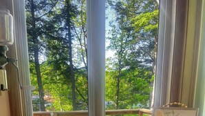 Interior - Gleason Lakefront House: Fire Pit, Kayak & Views! (Gleason)