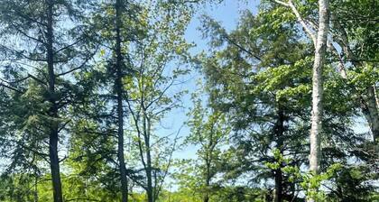 Lakefront Retreat in Gleason Northwoods