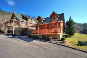 Unclassified image, 4 of 34, button