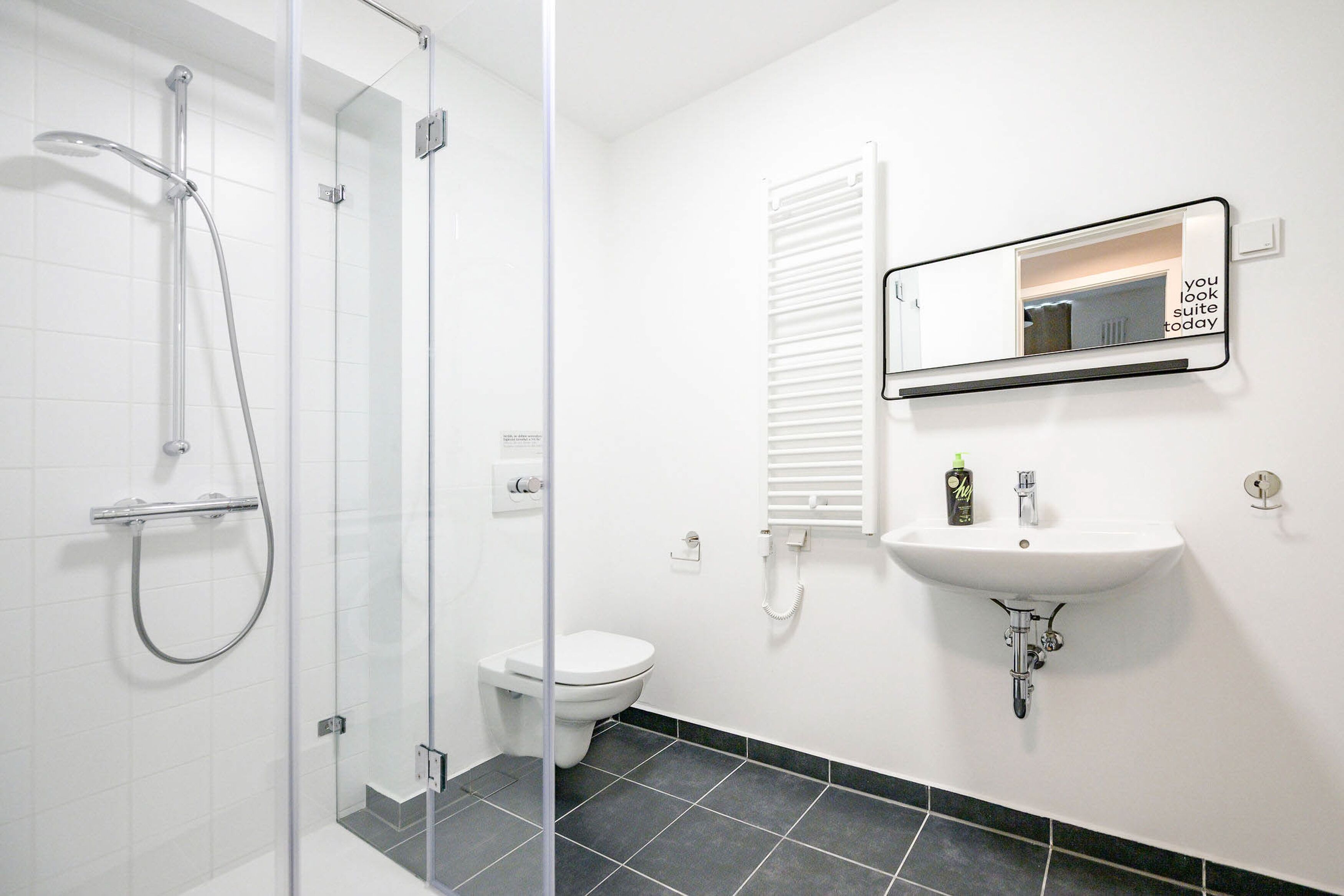A modern bathroom with a glass shower enclosure, a toilet, and a sink with a mirror above it.