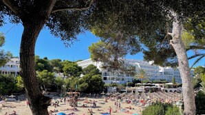 Ein Strand mit badenden und sonnenden Personen, umgeben von Bäumen und Gebäuden.