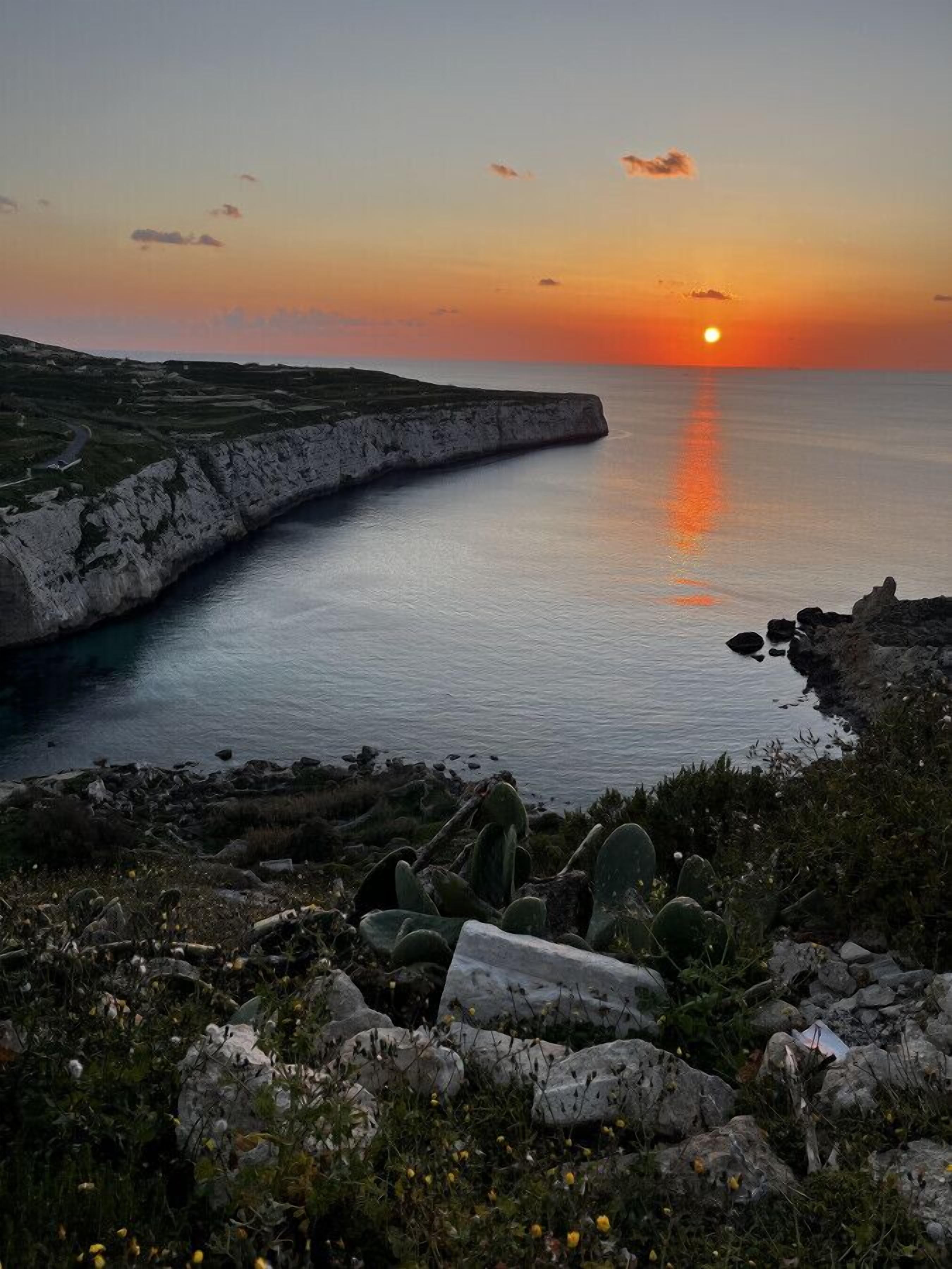 Paesaggio costiero con una scogliera, cactus e un tramonto sul mare.