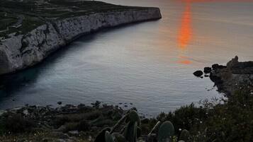 Paesaggio costiero con una scogliera, cactus e un tramonto sul mare.